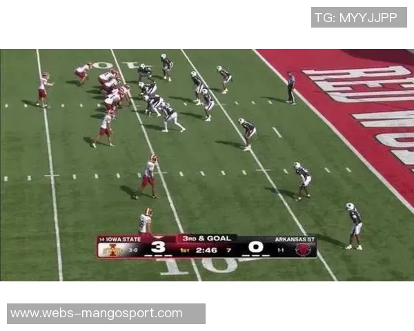 2019年超级碗精彩对决爱国者队与酋长队的巅峰之战回顾